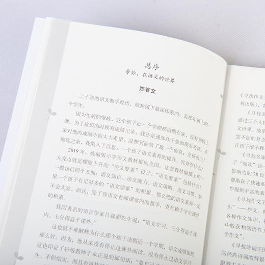 寻找作文王国（写作技巧篇） 商品图9