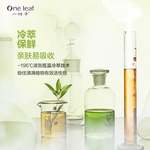 一叶子橄榄芽鲜补水保湿精华液30ml-4525 商品图2