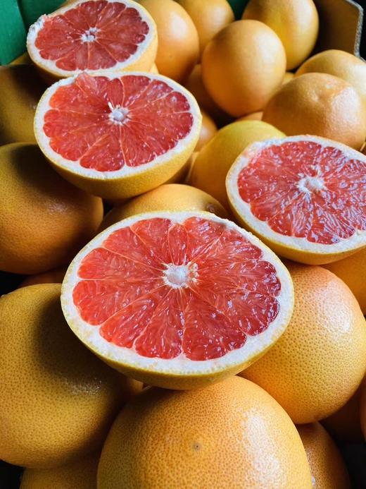 40以色列红西柚单枚冷藏保存