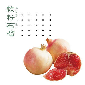 突尼斯软籽石榴