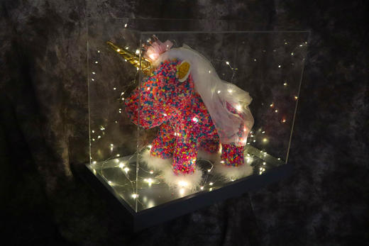 情有独钟----满天星独角兽星光礼盒 商品图3