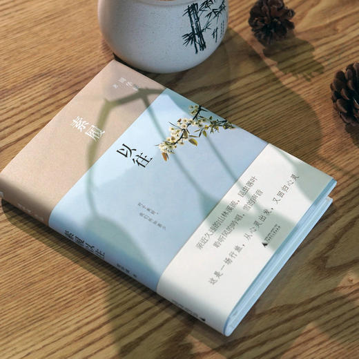 素履以往周华诚著散文山野疗愈