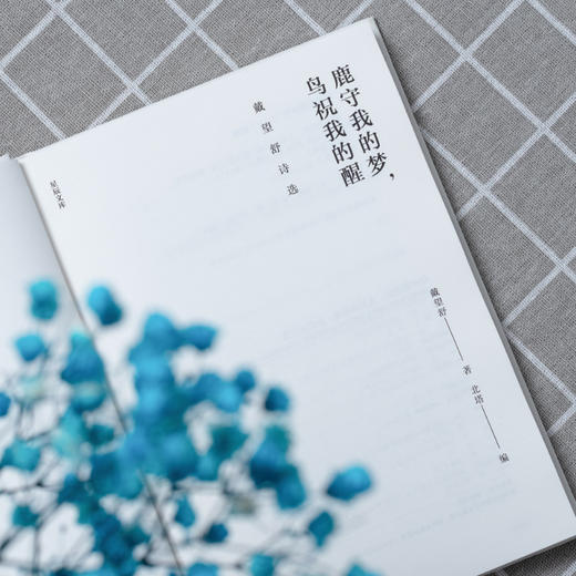 《鹿守我的梦，鸟祝我的醒：戴望舒诗选》| 他的诗写得好，翻译得更好，读中国新诗，不可错过戴望舒！ 商品图4