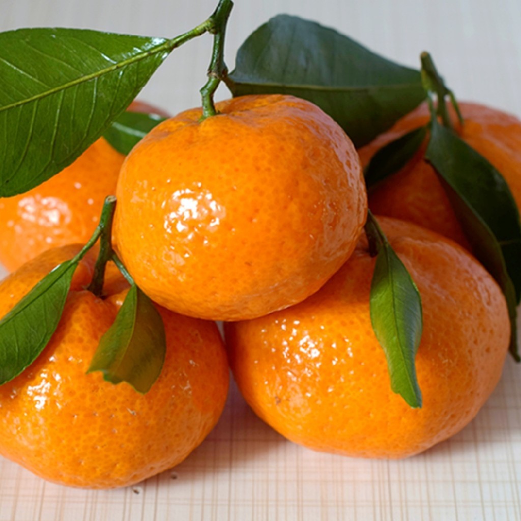 冰糖桔