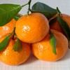 冰糖桔 商品缩略图0