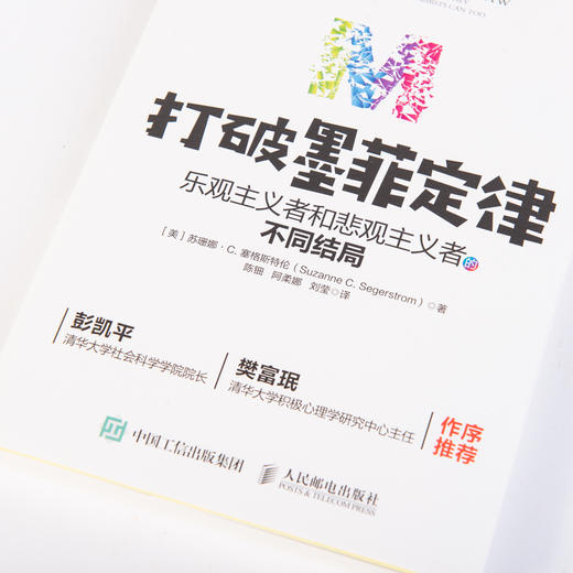 打破墨菲定律 乐观主义者和悲观主义者的不同结局 有书行动派清华大学彭凯平樊富珉推荐 积极心理学提高行动力 商品图9