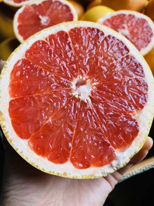 40以色列红西柚单枚冷藏保存