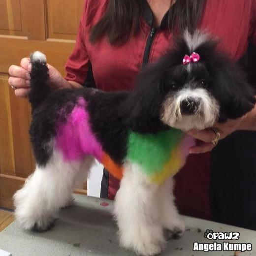 半持久宠物染色剂-绿色Kelly Green OPAWZ小爪印 商品图10