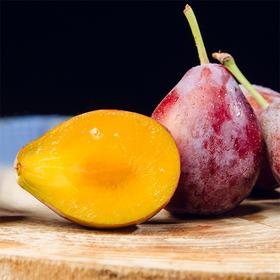 【法兰西西梅】纯甜  品质卓越