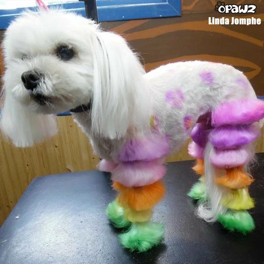 半持久宠物染色剂-泡泡糖粉Bubble Gum Pink OPAWZ小爪印 商品图8