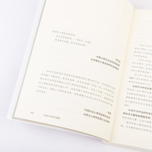 认知行为疗法进阶 商品图13