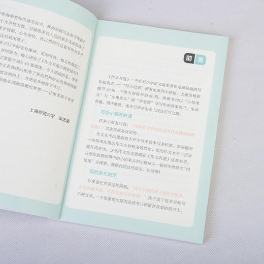 作文有道  手把手教孩子学会写作方法 商品图14
