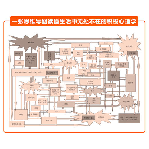 向好而生 积极心理学的10大发现 商品图3