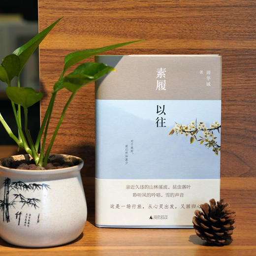 素履以往周华诚著散文山野疗愈