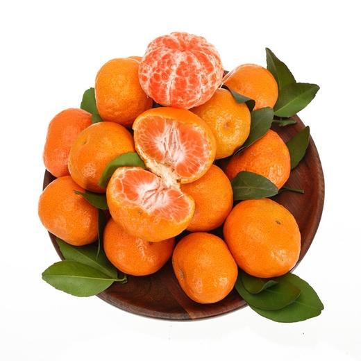 冰糖桔 - 维豆干果水果
