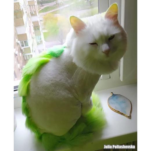 半持久宠物染色剂-绿色Kelly Green OPAWZ小爪印 商品图8