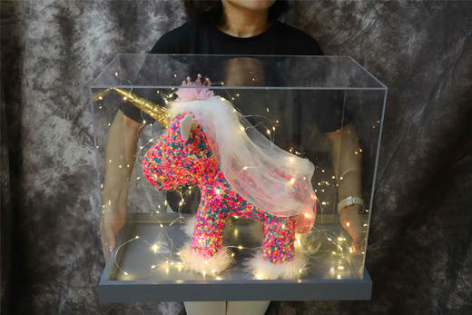 情有独钟----满天星独角兽星光礼盒 商品图0