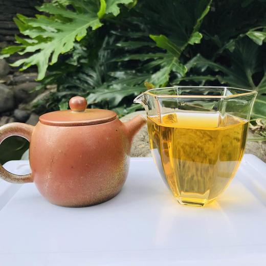 2021【茶王树】一看名字就迈不开腿的茶山，品质堪为易武茶之鼎 商品图5