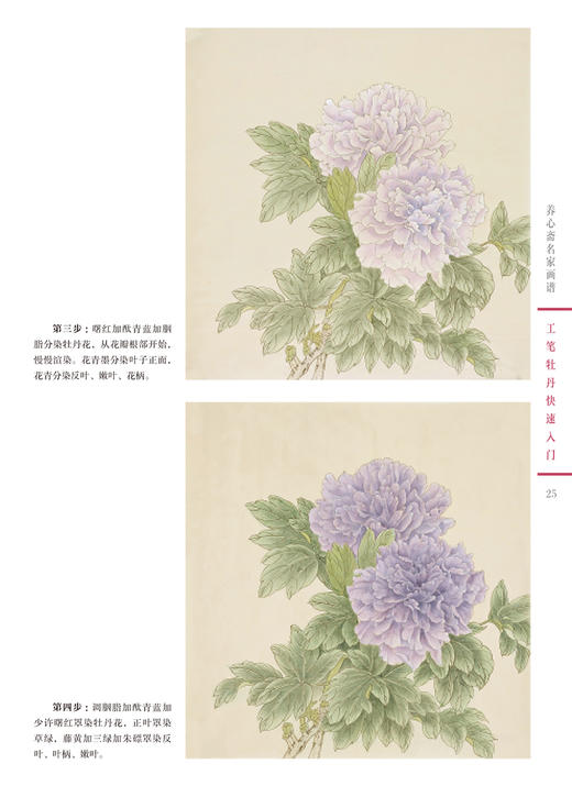 养心斋名家画谱-工笔牡丹快速入门 商品图1