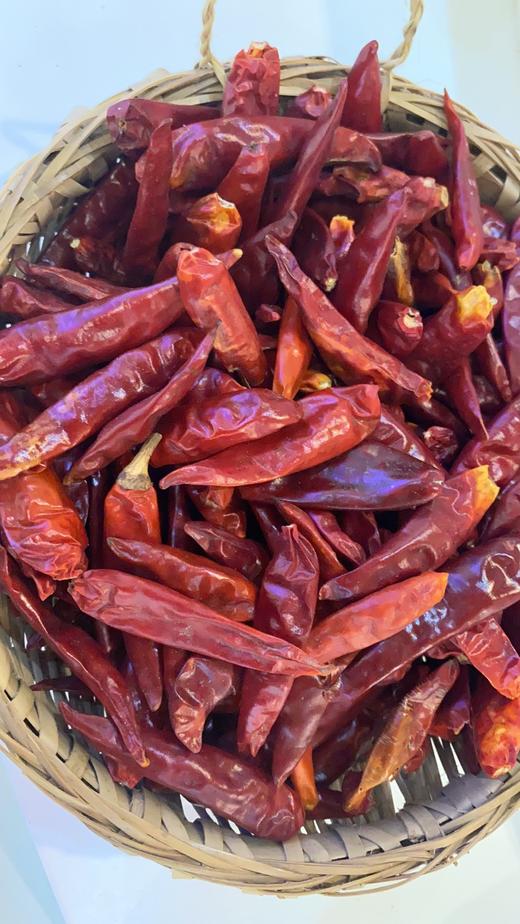 德乡仪品仪陇农家干辣椒微辣特辣500g