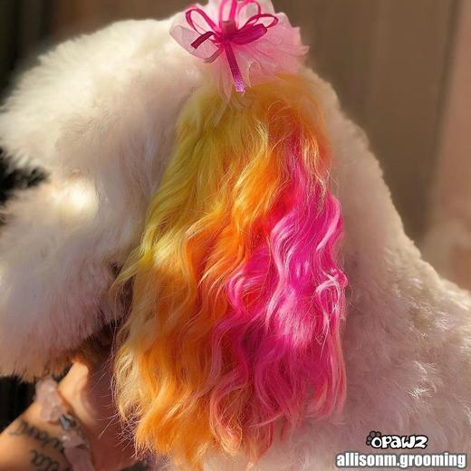 半持久宠物染色剂-橙色Pumpkin Orange OPAWZ小爪印 商品图8