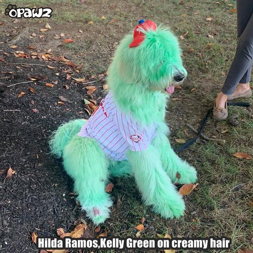 半持久宠物染色剂-绿色Kelly Green OPAWZ小爪印 商品图9