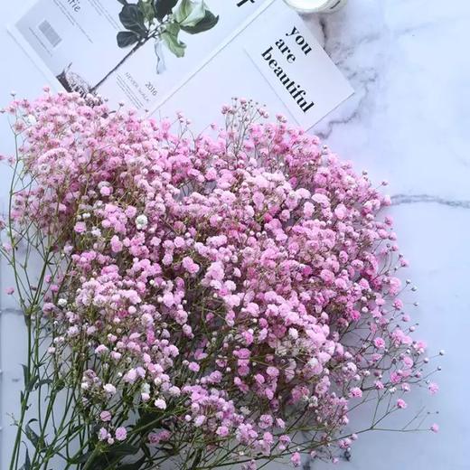 配花-国产满天星-粉色 商品图0