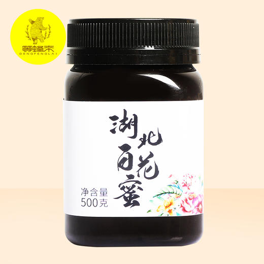 【湖北扶贫】等蜂来天然蜂蜜 湖北百花蜜500g，采自湖北五峰土家族自治县 商品图0