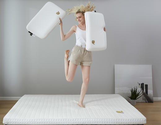 进口AB乳胶枕芯天然乳胶枕芯学生护颈椎枕头ABGG0804 商品图2