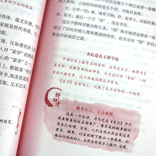 一口气读懂中华经典语文全4册 商品图4