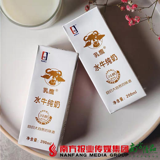 珠三角包郵南國乳業乳鷹水牛高鈣奶1箱乳鷹水牛純奶1箱次日到貨