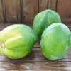 生态菜用青木瓜 | 绿家自产* Eco-green papaya | Self-production 商品缩略图1