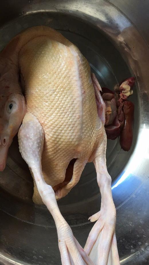 一点黑精肉鸭炖汤红烧净膛5斤起