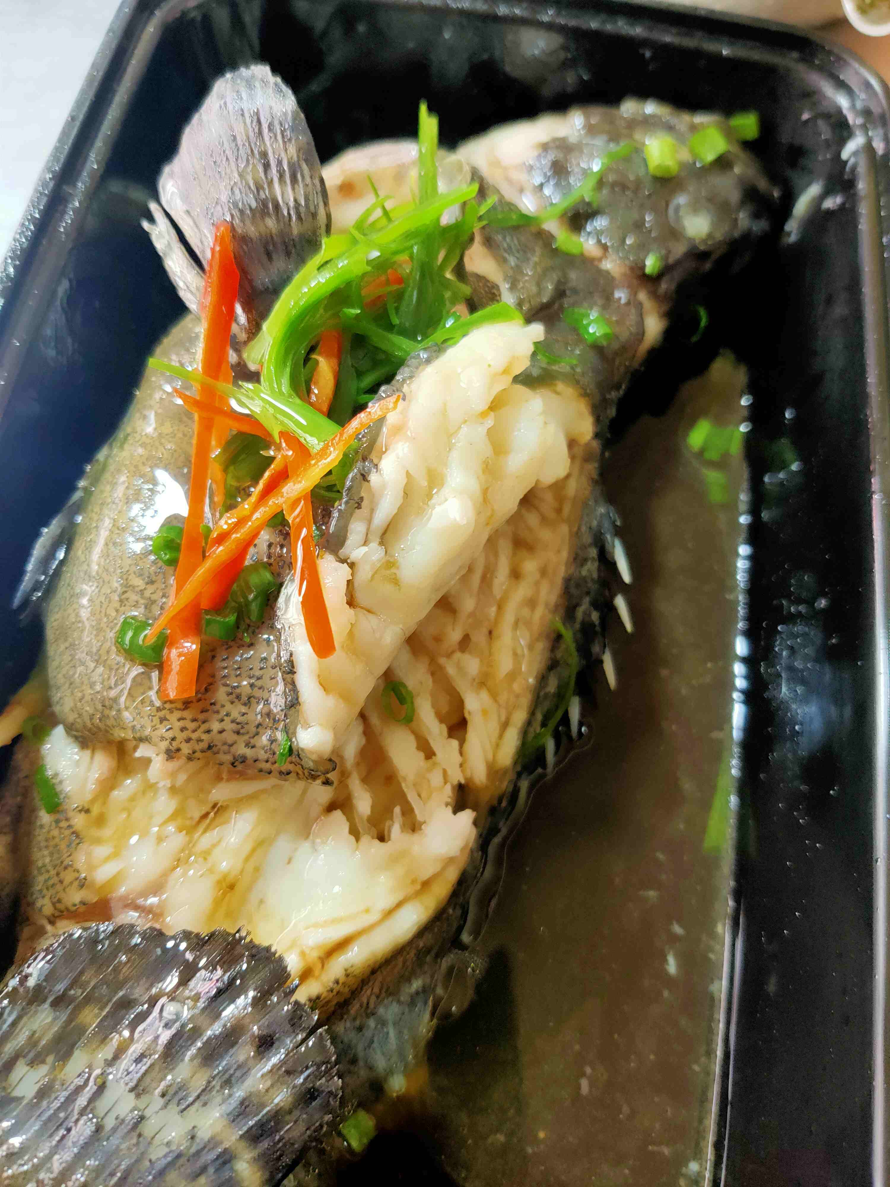 清蒸老虎斑 ，1条1.2一1.3斤