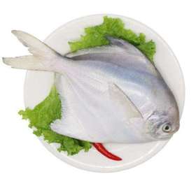 平鱼