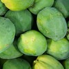 生态菜用青木瓜 | 绿家自产* Eco-green papaya | Self-production 商品缩略图0