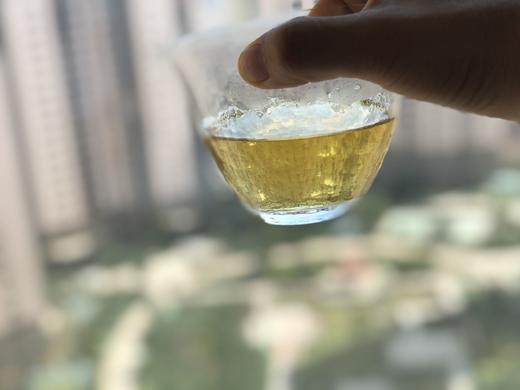 宽茶窄酒｜快哉风南美小饼 2020年 生普洱茶饼 商品图5