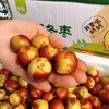 【妙脆牛奶冬枣】3斤装，精品果，绿色食品，出口品质 商品缩略图2