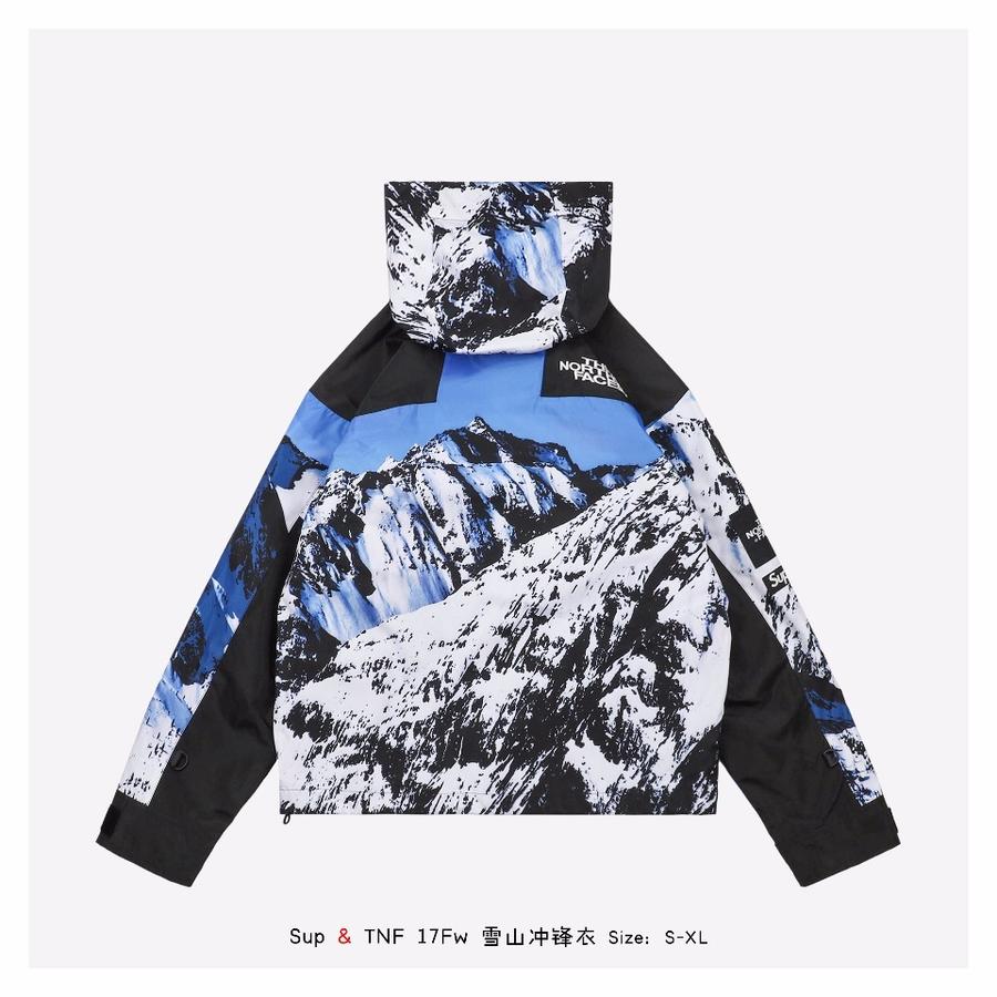 Supreme The North Face 17fw 雪山-