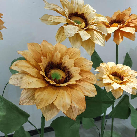 向日葵🌻三件套【运费自理】 商品图5