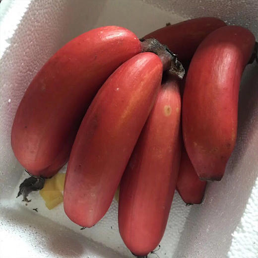 【福建·土楼】红美人香蕉 红皮甜香蕉 一级大果 净重5斤装（约9根） 商品图6
