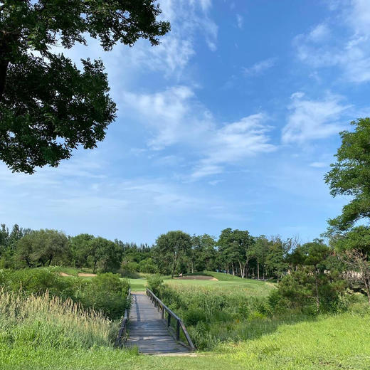 河北秦皇岛荣盛黄金海岸高尔夫俱乐部-森林场 Hebei Qinhuandao Rongsheng Goldern Coast GC |  秦皇岛高尔夫球场 | 河北高尔夫球场 | 中国 商品图0