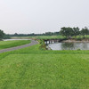 （冬季封场）河北秦皇岛保利高尔夫俱乐部（南戴河森林）Hebei Qinhuandao Poly Golf Club |  秦皇岛高尔夫球场 | 河北高尔夫球场 | 中国 商品缩略图3