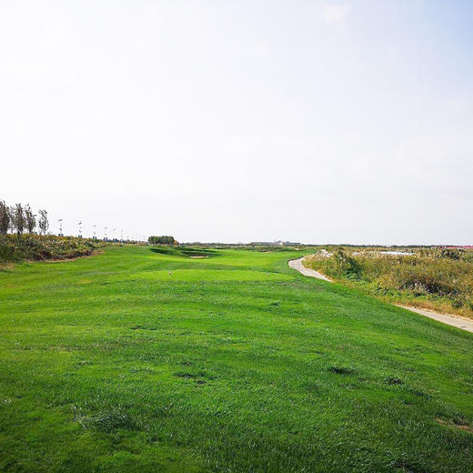 （封场）河北唐山曹妃湖体育公园高尔夫俱乐部 Hebei Tangshan Caofeihu Lake Golf Club|  唐山高尔夫球场 俱乐部 | 河北 | 中国 商品图4