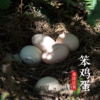伟诗订制 | 笨鸡蛋  【现捡鸡蛋，付款后农场7天内发货】 商品缩略图3