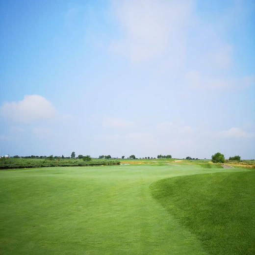 河北唐山曹妃甸湿地高尔夫俱乐部 Hebei Tangshan Caofeidian Shidi Golf Club | 唐山高尔夫球场 | 河北高尔夫球场 | 中国 商品图1