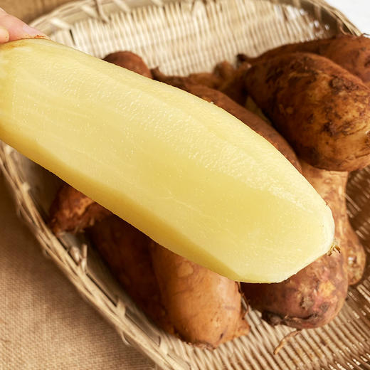 【云南雪莲果】新鲜现挖清甜脆爽多汁应季水果 商品图0