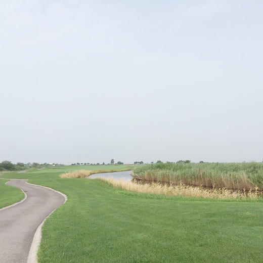 河北唐山曹妃甸湿地高尔夫俱乐部 Hebei Tangshan Caofeidian Shidi Golf Club|  唐山高尔夫球场 俱乐部 | 河北 | 中国 商品图3