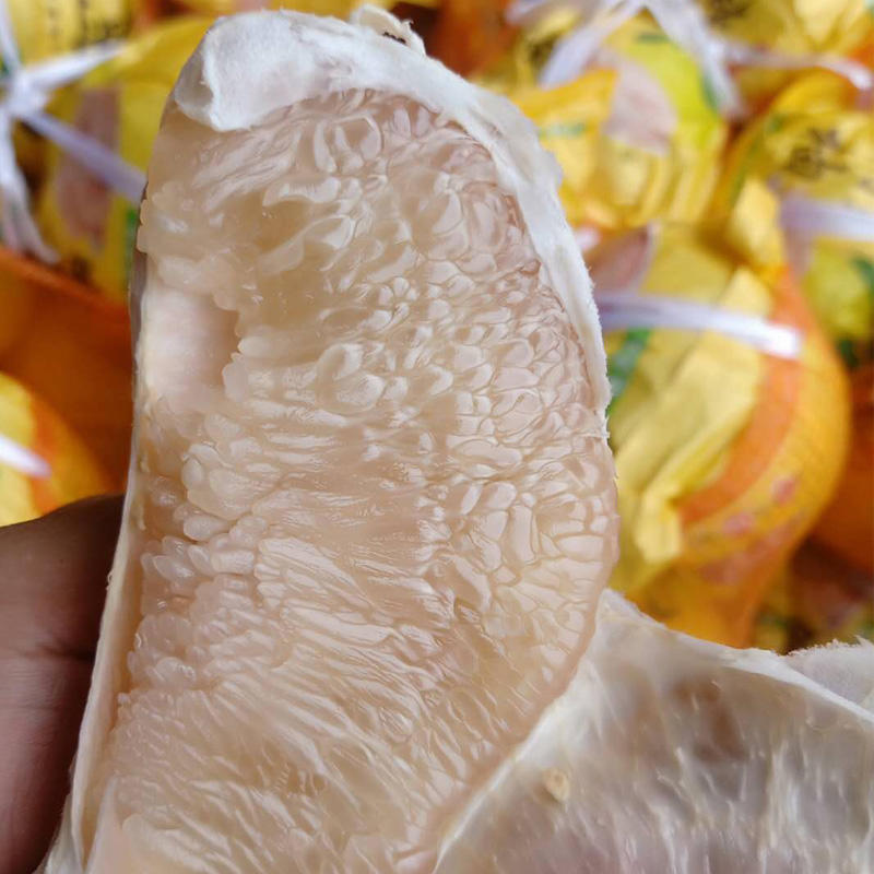 平和县白柚 1.7-2.2斤/个