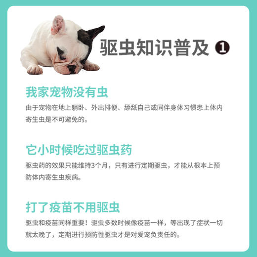 🇪🇸西班牙NBP 犬猫通用 草本精油 商品图9